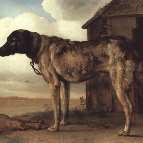 Звери в Эрмитаже: авторская экскурсия