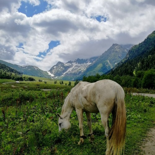 Пешком по просторам Архыза: поход без рюкзаков с проживанием в палатках