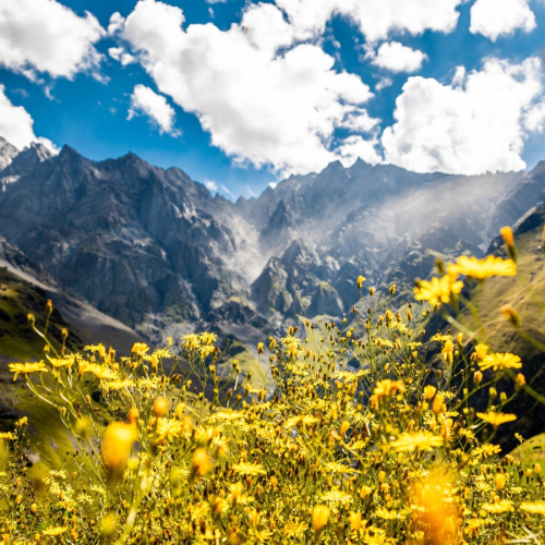 Большой релакс-тур 2 в 1: Ингушетия и Осетия, экскурсии по главным местам и 3 дня отдыха в термах