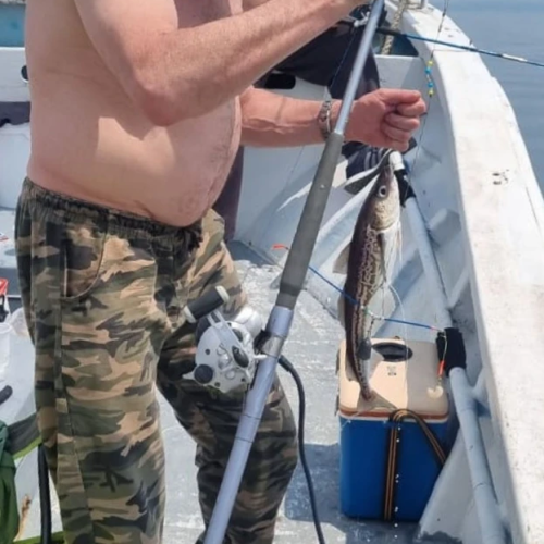 Морская рыбалка во Владивостоке
