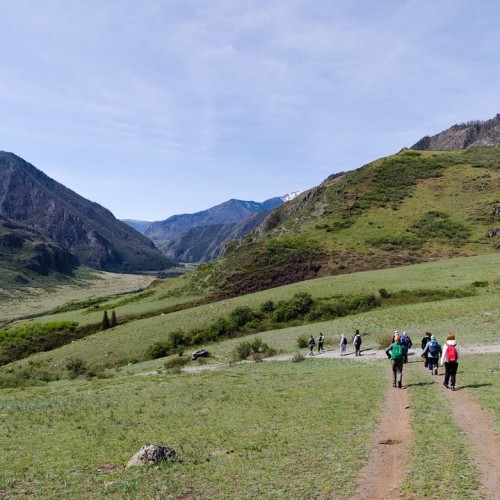 Майские на Алтае в сезон цветения маральника с ежедневными прогулками (всё включено)