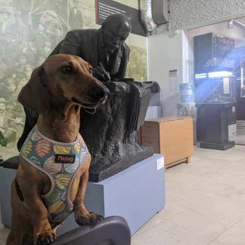 Едем с таксой по ленинским местам Петербурга