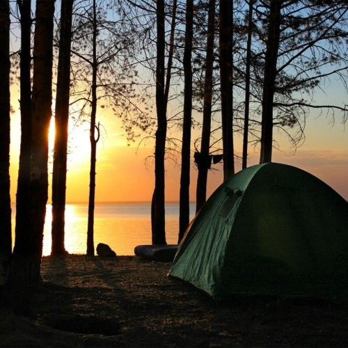 Большое путешествие по Камчатке: вулканы, глэмпинг в Мёртвом лесу и круиз в бухту Русская