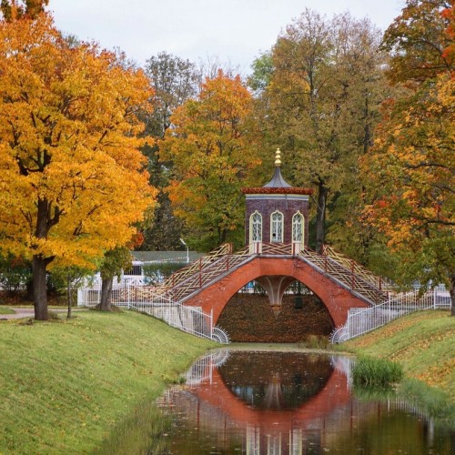 Китайский бум на берегах Невы: Петербург и Царское Село