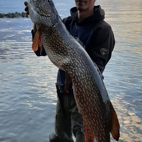 Рыбалка на трофейного хищника Иркутского водохранилища (индивидуально)