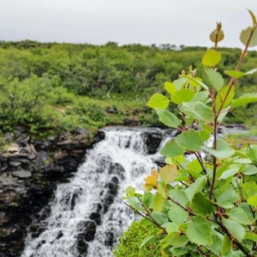 На самый-самый север: автопутешествие по Рыбачьему и Среднему