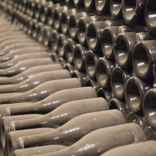 Вкусы черноморского побережья: винное путешествие по Сочи, Новороссийску, Геленджику, Анапе и Тамани