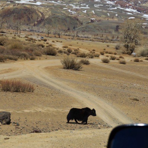 Алтайские чудеса: водопады, горы, озёра и марсианские пейзажи в мини-группе