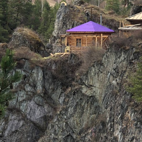 По цветущему Алтаю с выездом из Новосибирска и Горно-Алтайска: топовые места