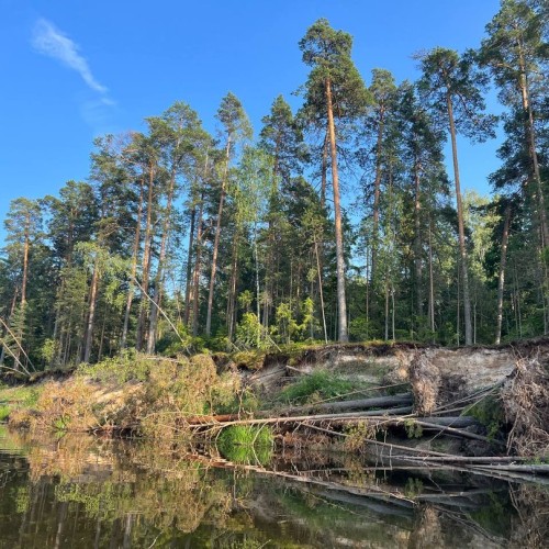 Подальше в лес: сплав на байдарках по реке Медведице