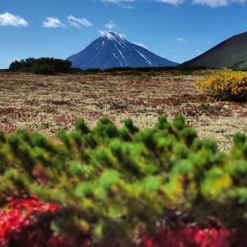 2500 км по Камчатке: вулканы, источники, океан