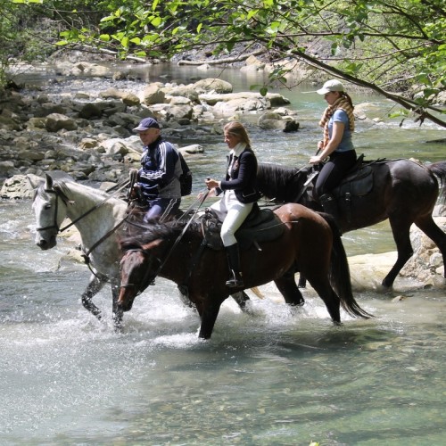 Приключения на лошадях в Сочи для новичков и опытных: по ущельям, долинам и лесам