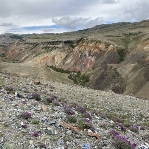 Тур по главным и редким местам Алтая на УАЗах: Чуйский тракт, горы, урочища, озёра и скалы