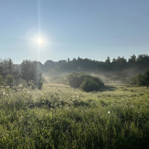 Течёт река Волга: лёгкий сплав на байдарках (всё включено)