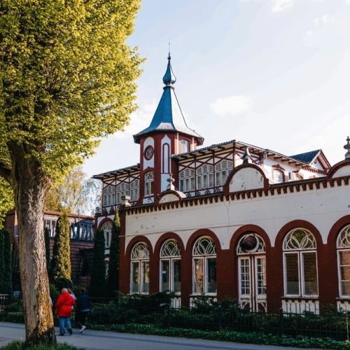 Море, котики, курорты: главное в Калининградской области