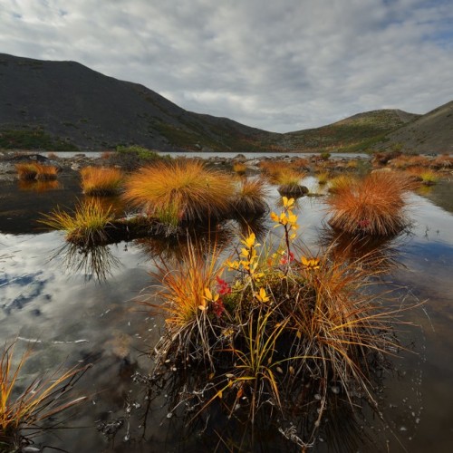 Колымские приключения: Магадан и окрестности в формате «всё включено»