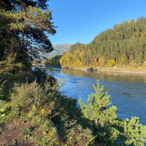 Возрождающая сила Алтая: ретрит-тур в женской компании