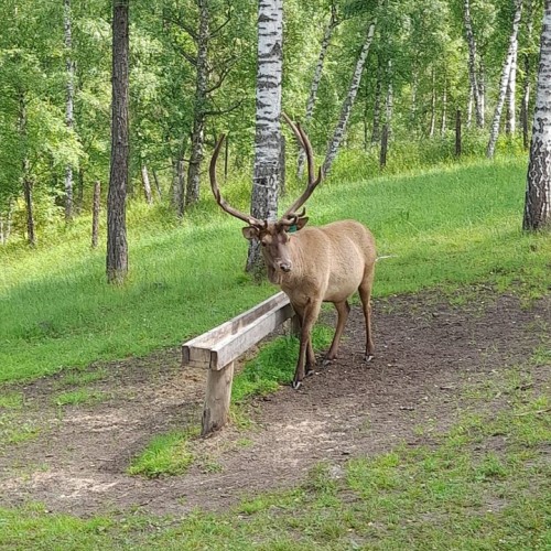Главное на Алтае: автопутешествие в мини-группе