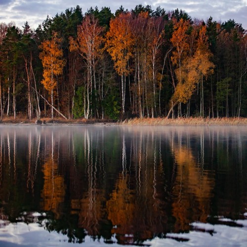 Замок Инстербург и Роминтская пуща. Фотопутешествие во времени