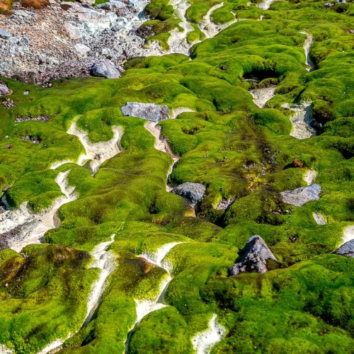 Джип-тур на Итуруп и Шикотан в мини-группе: неизведанные места, релакс в термах и гастрономия