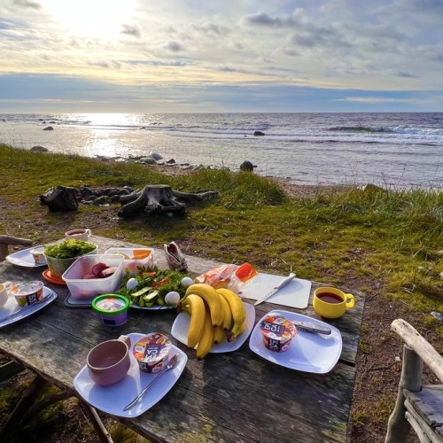 Шёпот волн, арктические дали, поморские селения: перезагрузка на Терском берегу
