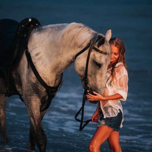 Конные прогулки для уверенных всадников: горы, море, чайные плантации и реликтовые леса Сочи