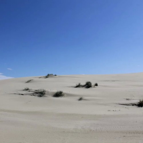 Калининградский микс: индивидуальное экспресс-путешествие