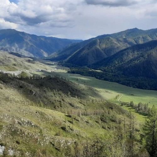 Нескучный Чуйский