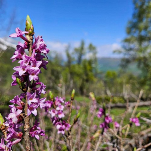 Весенний Архыз: треккинг налегке с проживанием в гостинице