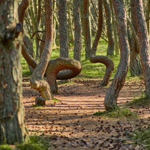 Балтийские выходные: природные достопримечательности и города-курорты