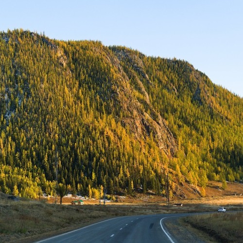 Из Алтая, по Чуйскому тракту — в Монголию на фестиваль беркутчи с проживанием в юрте