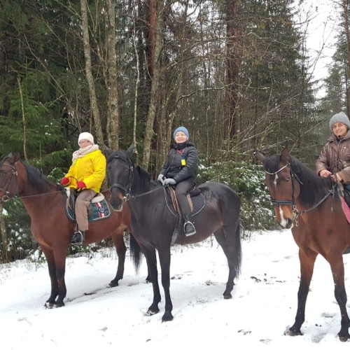 Верхом по Кавголовскому лесопарку — к питомнику зубробизонов