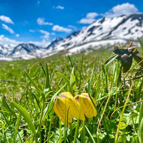 Весенний Архыз: треккинг налегке с проживанием в гостинице