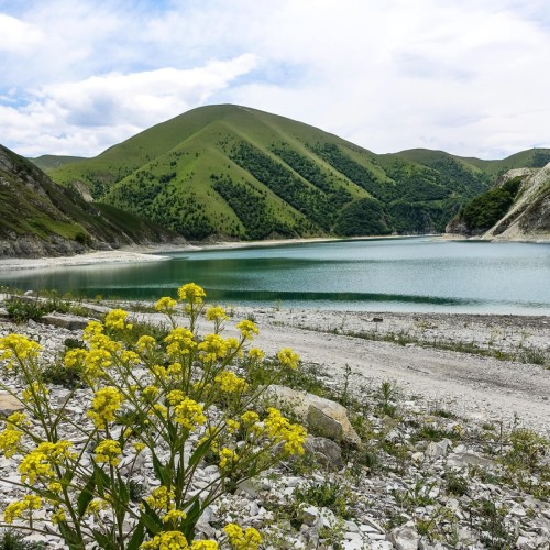 От старинных башен в горах до небоскрёбов: по Чечне с комфортом