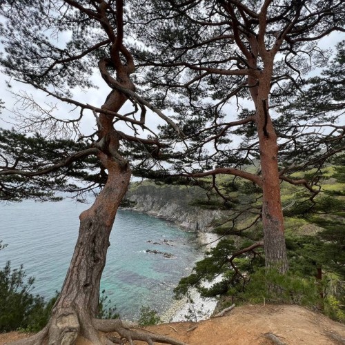 Гастрономическое путешествие в русский Сан-Франциско