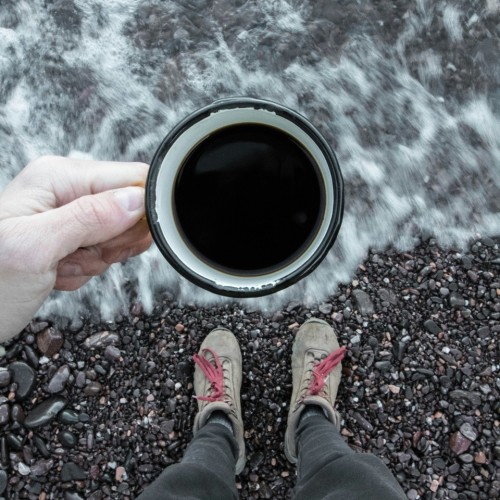 Навстречу гренландским китам: экспедиция к Шантарским островам с лекциями биологов