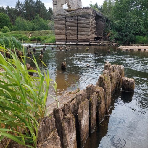 Очарование Медведицы: лёгкий сплав на байдарках (всё включено)