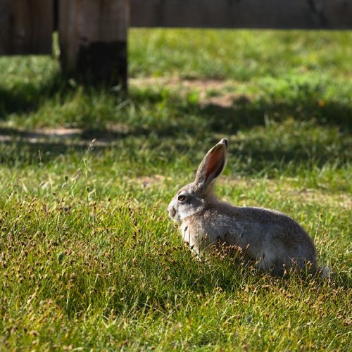 Наедине с Алтаем: высокогорные озёра, живописные долины и неземной ландшафт (всё включено)