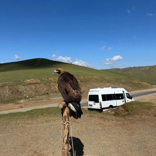 Путешествие на родину Чингисхана: Улан-Батор и нацпарк «Горхи-Тэрэлж»