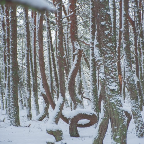 Всё самое главное в Калининградской области: от рыцарских замков до Куршской косы