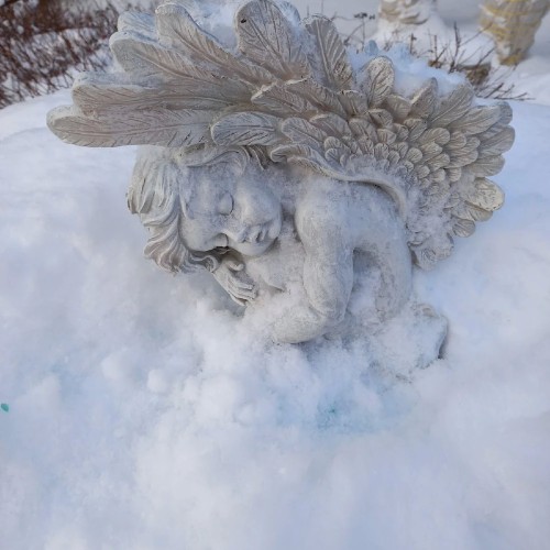 Финское наследие Зеленогорска/Терийоки