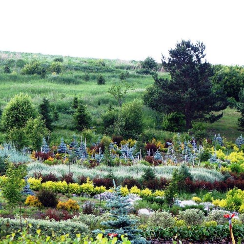 Сказка Алтайского Холмогорья