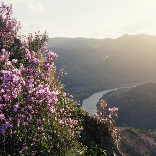 Джип-путешествие к священному озеру Манас