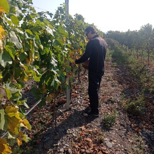 Гор много не бывает: Грузия, Кабардино-Балкария, Ингушетия и Северная Осетия