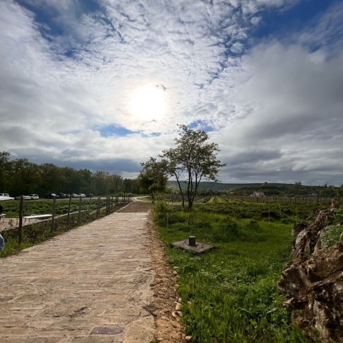 Вкусы черноморского побережья: винное путешествие по Сочи, Новороссийску, Геленджику, Анапе и Тамани