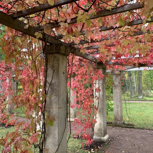 Ораниенбаум: шкатулка с драгоценностями Екатерины Великой