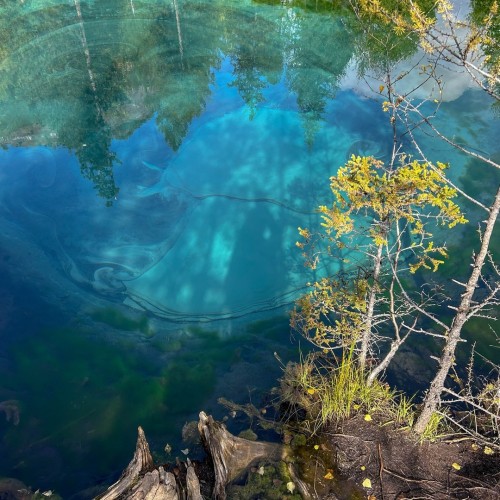 Знакомство с Алтаем своей компанией: снежные вершины, кристальные озёра и заповедные тропы