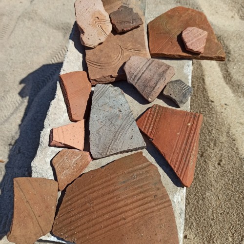 Волгоградское море: по Нижней Волге под парусами