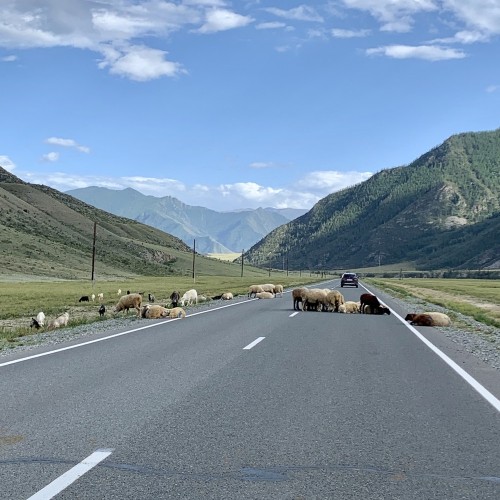 Из Горно-Алтайска — тихими тропами Чуй-Оозы