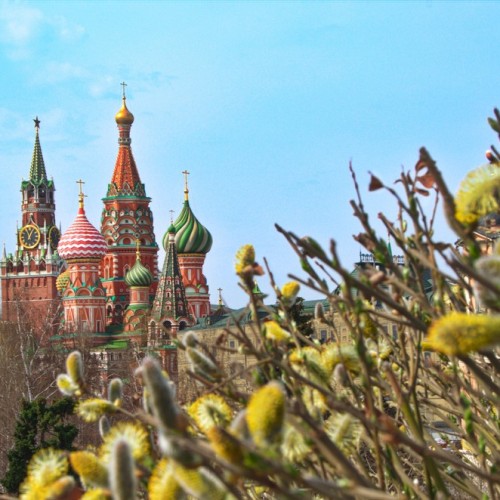 Семейное путешествие в Москву: прогулка с фонарщиком, детективная экскурсия и «Мосфильм»